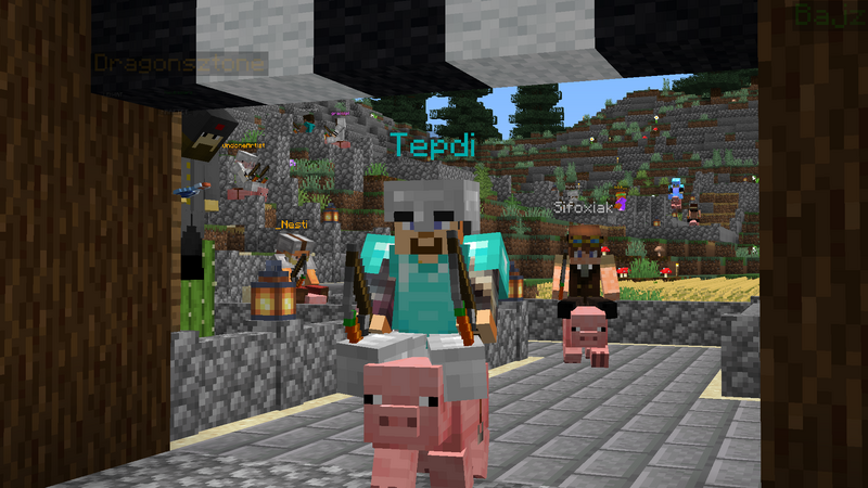 Plik:Wyścig świń Tepdi meta edycja 7.png